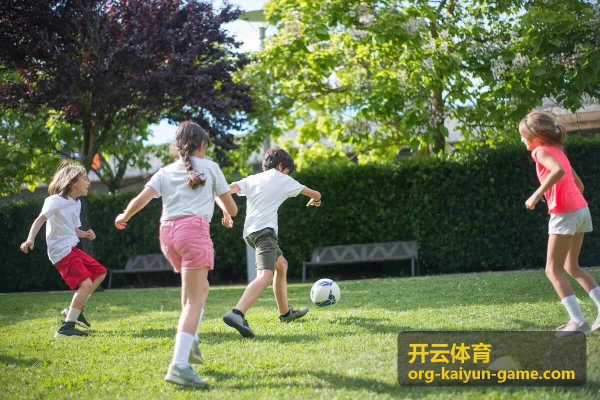 开云体育案例